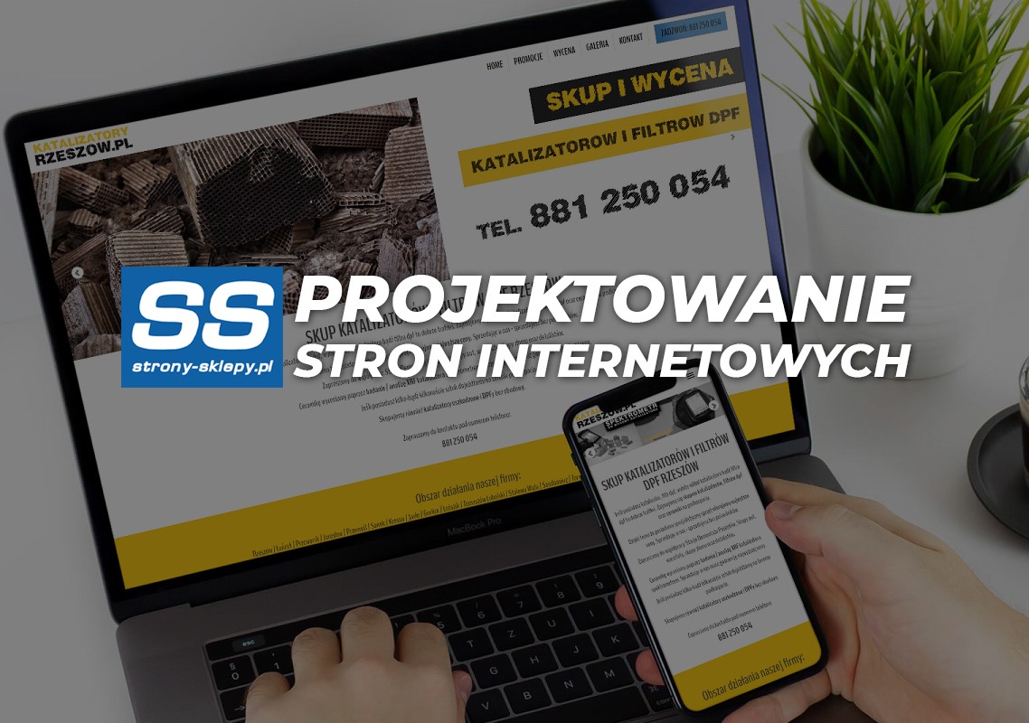 Strony internetowe Bielsko-Biała- szybko, profesjonalnie